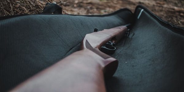 Regimen sancionador armas