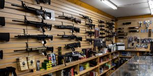 chapter 4 firearm ownership