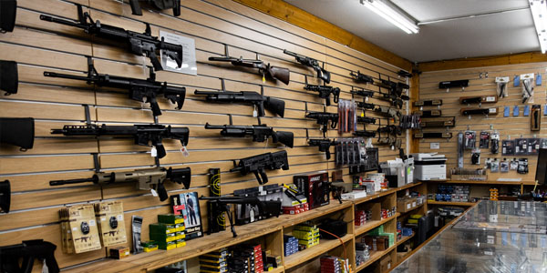 chapter 4 firearm ownership