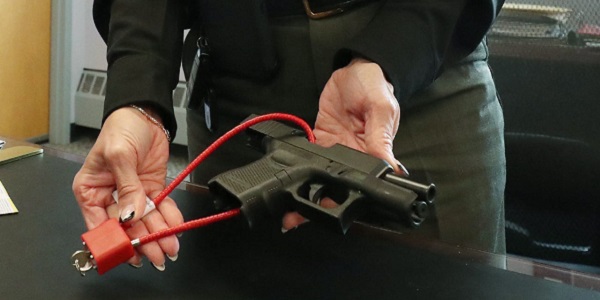 firearm safety certificate Chapter 1 Gun safety Rules