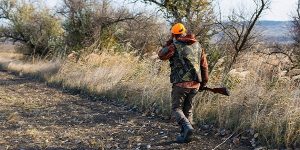 tema 7 etica seguridad y comportamiento