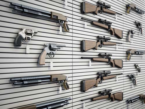 Lee más sobre el artículo Tipos de armas permitidas según la licencia